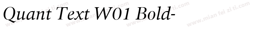 Quant Text W01 Bold字体转换